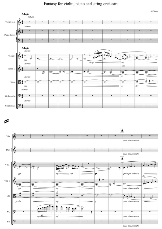 Fantasy for Violin, Piano and String Orchestra